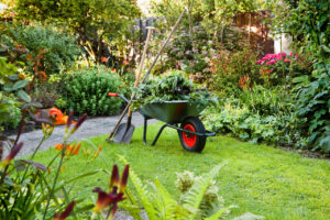 Keep Your Garden Flourishing Stopping Summer Pests Naturally! How to control summer pests